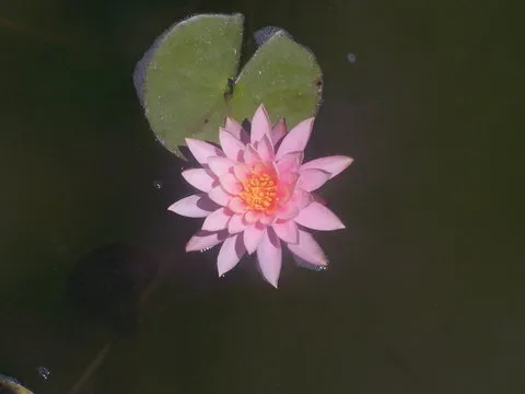 智能知识互动